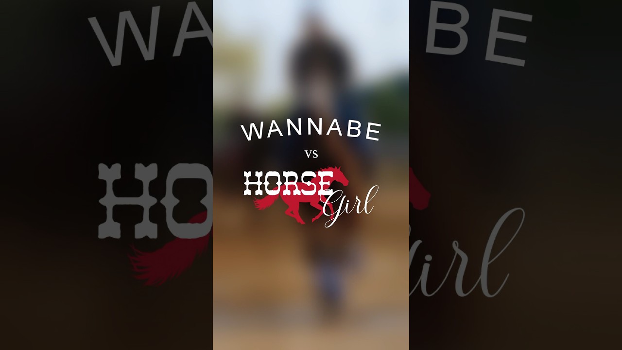 Educate yourself wannabe horse girl. #horse #kentuckyderby #education
