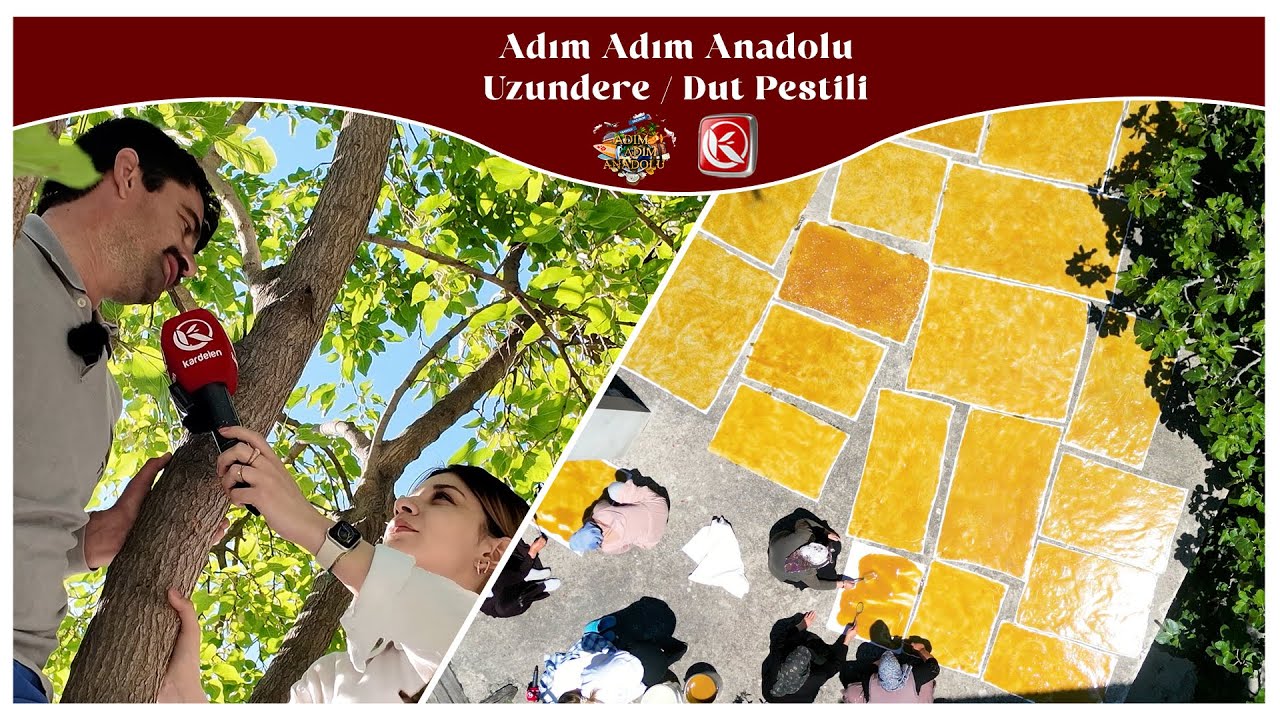 ADIM ADIM ANADOLU I DUT PESTİLİ