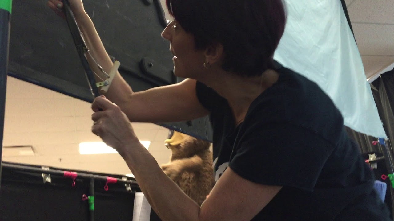 Backstage Puppet Show Training Video