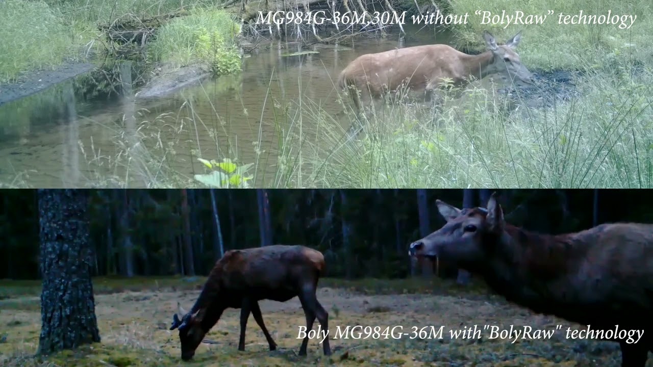 Bolymedia cameras BG984G-36M with BolyRaw tecnology vs BG984G-36M,30M without BolyRaw technology.