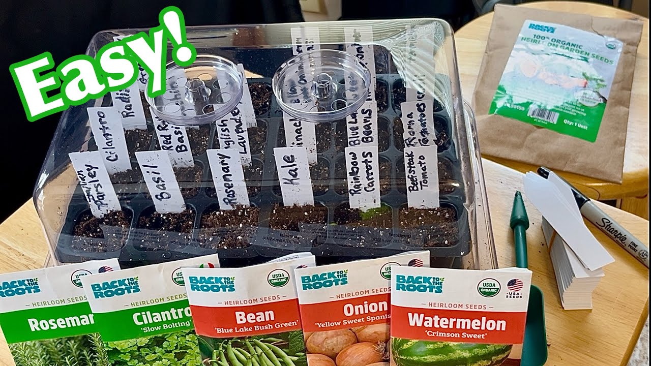 How To Start a Garden From Seeds In Trays With Soligt Self Watering Seed Starter Kit ~ Garden