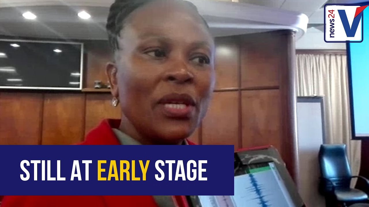 Public protector on Sassa investigation