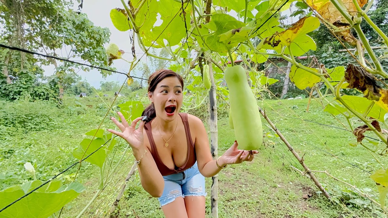 Mga tanim kong gulay sa Farm ❤️
