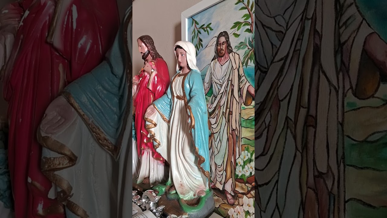 O Dever do homen  de Bem ?  evoluir .#martafatimae6g #martabrizotto  #mfb369 #evoluir  #homenbom  