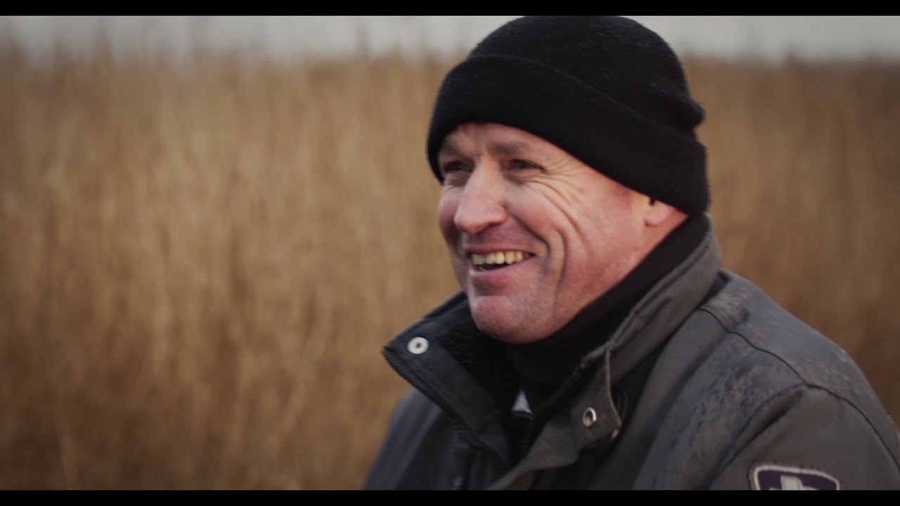 Wij & Wadvogels | Goed toeven op de kwelders van Westhoek