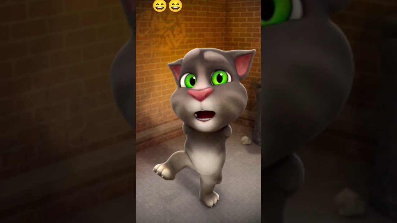 #youtubeshorts #yuvraj ssb #viralshorts  #Cat