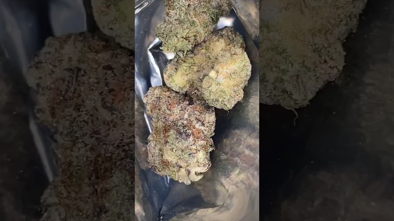 Cookies Cereal Milk Strain