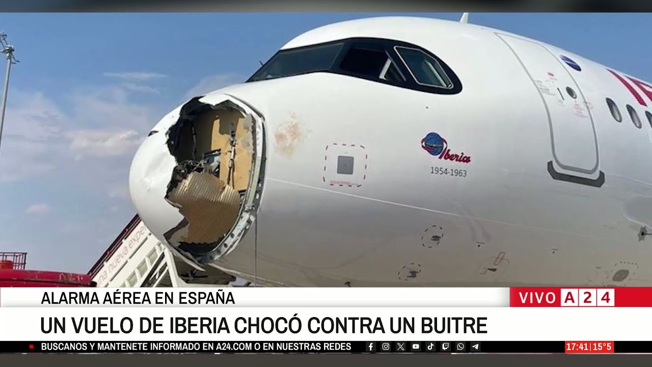 🚨UN AVIÓN DE IBERIA CHOCÓ CONTRA UN BUITRE Y TUVO QUE ATERRIZAR DE EMERGENCIA