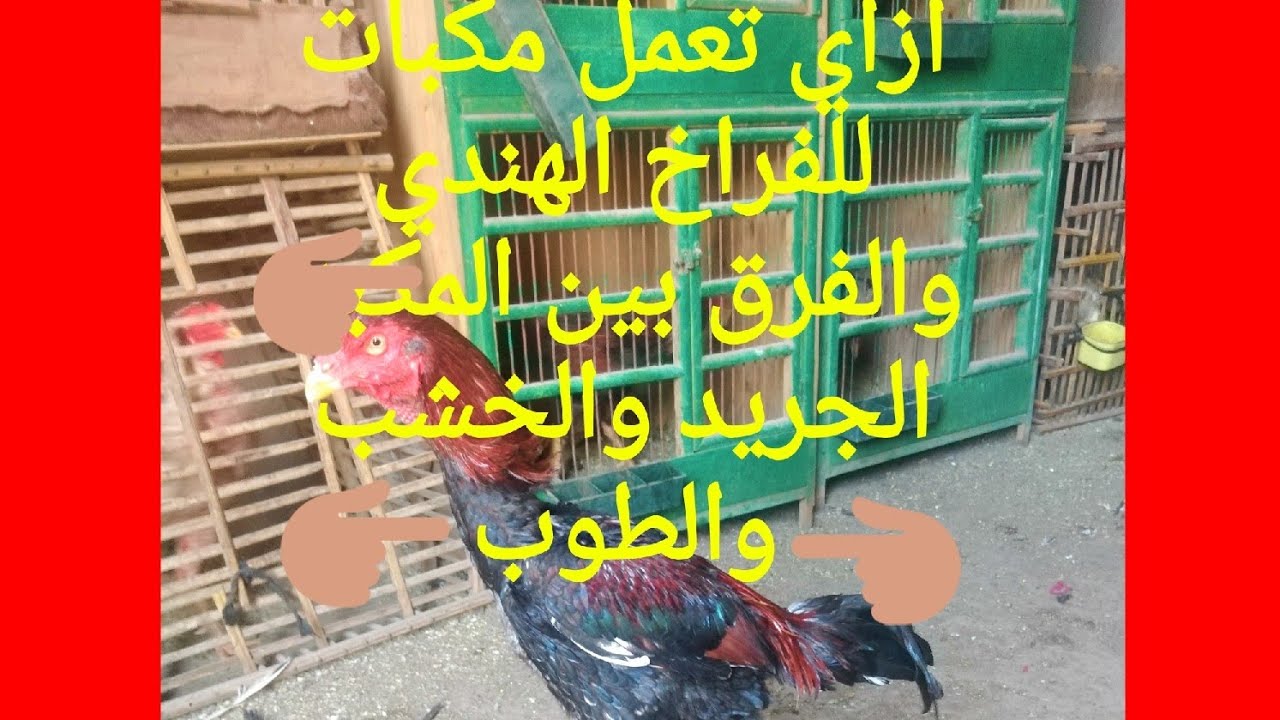 الفرق بين المكبات الخشب والطوب والجريد للفراخ الهندي وازاي تعمل مكبات