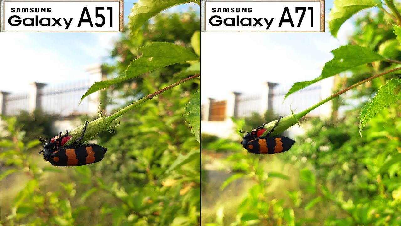 Samsung Galaxy A51 Vs Galaxy A71 Camera Comparison Test