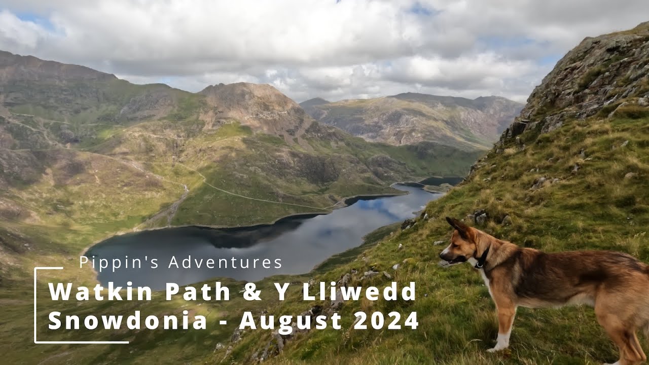Pippin's Adventures Snowdonia - Watkin Path & Y Lliwedd August 2024