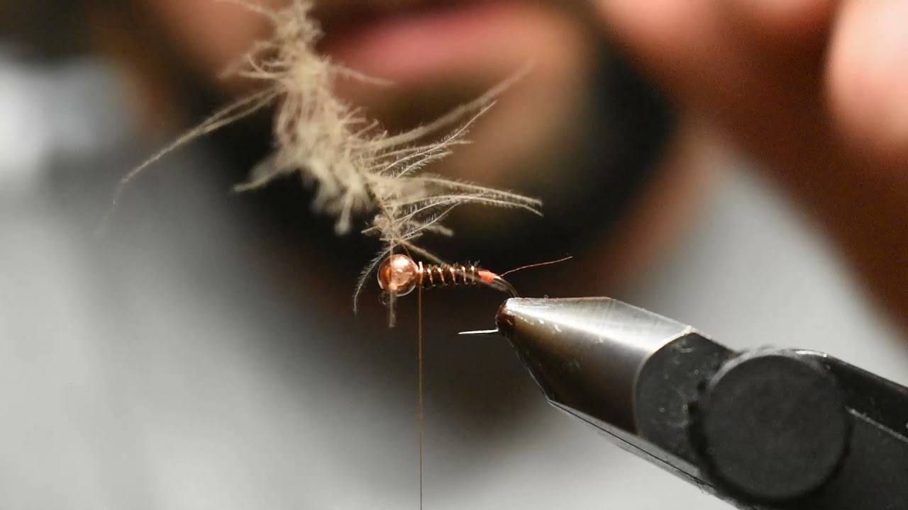 Montage mouche type nymphe jig faisan : toc nymphe, nymphe au fil