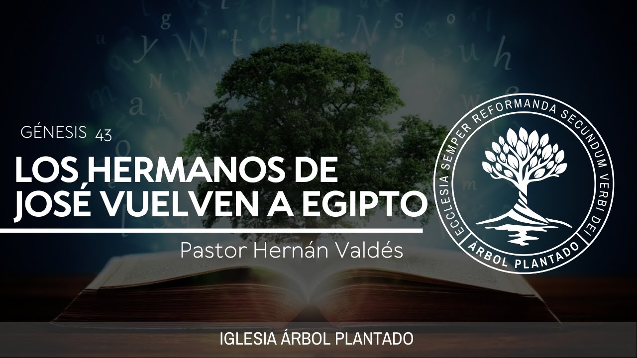 56 - Los hermanos de José vuelven a Egipto  ( Génesis 43 )