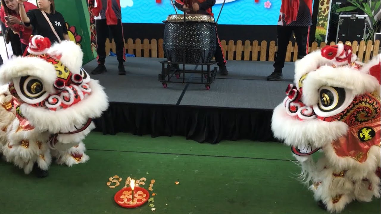 新加坡雲封體育會 Hoon Hong Lion Dance Cai Qing Performance at SAFRA Jurong 19 Jan 2025