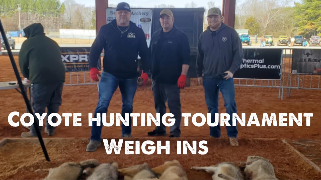 Carolina Coyote classic weigh ins!