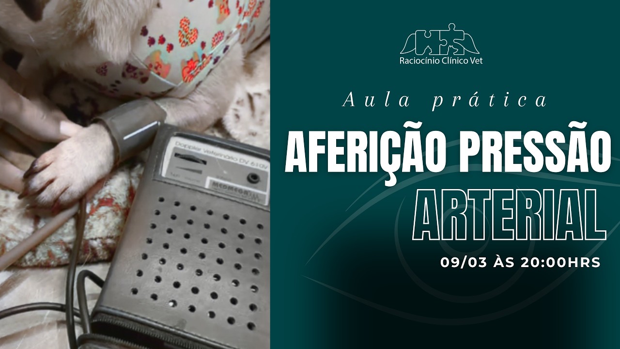 Aula Prática Aferição da Pressão Arterial