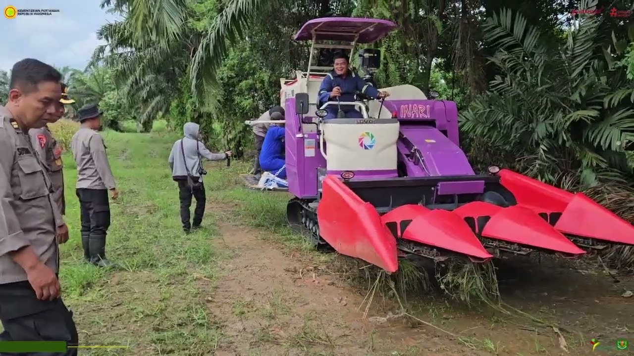 Panen Jagung SMK PPN Banjarbaru bersama Polres Kota Banjarbaru