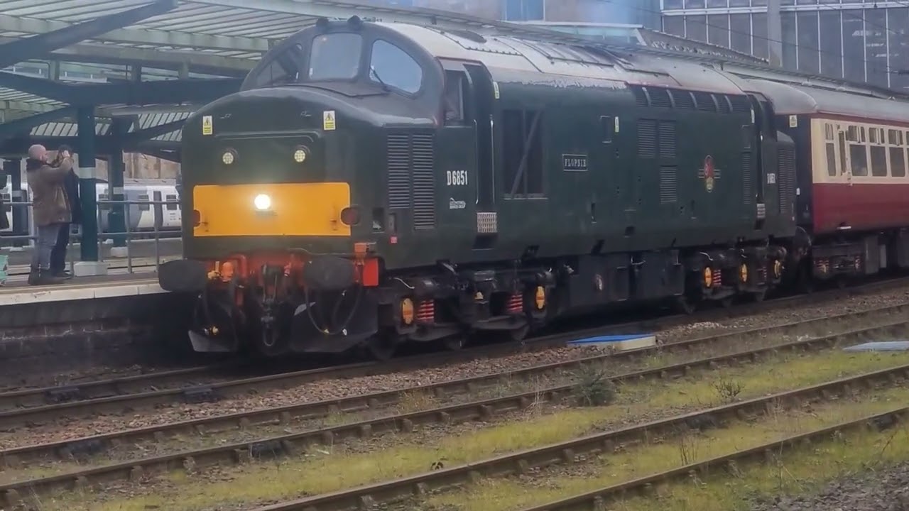 D6851 Flopsie.