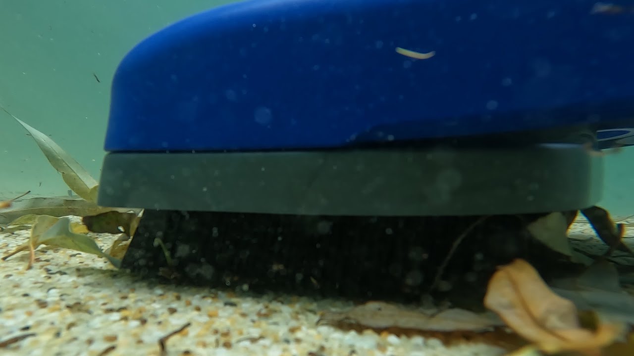 Great White 2 Pool Cleaner Put to the ULTIMATE Test!