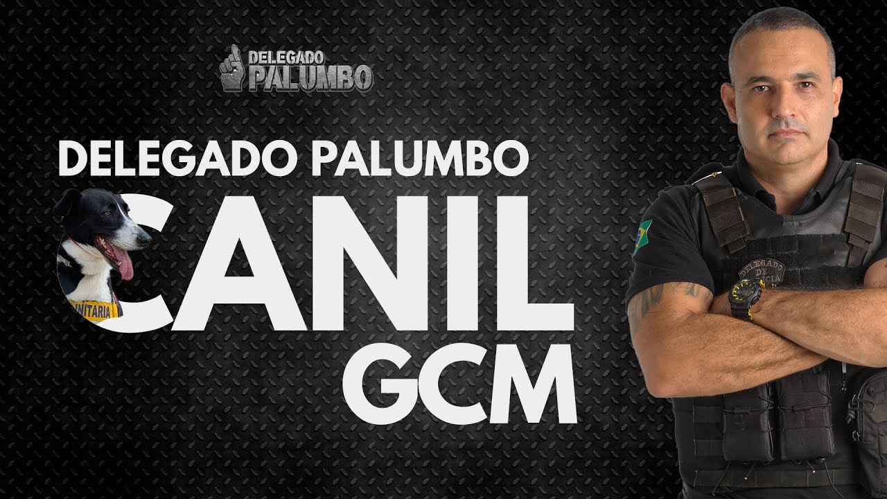 Conheça o Canil da GCM | DELEGADO PALUMBO