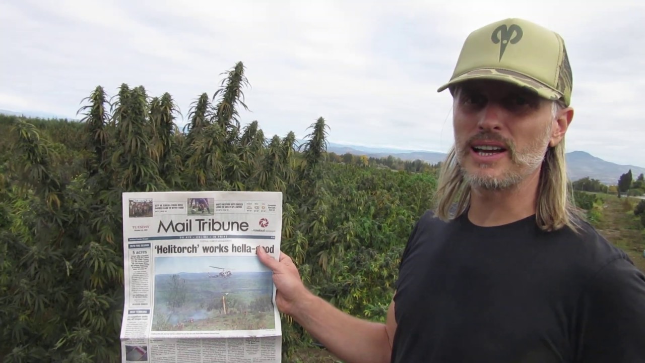 Hemp southern Oregon 2019 part 1 of 3