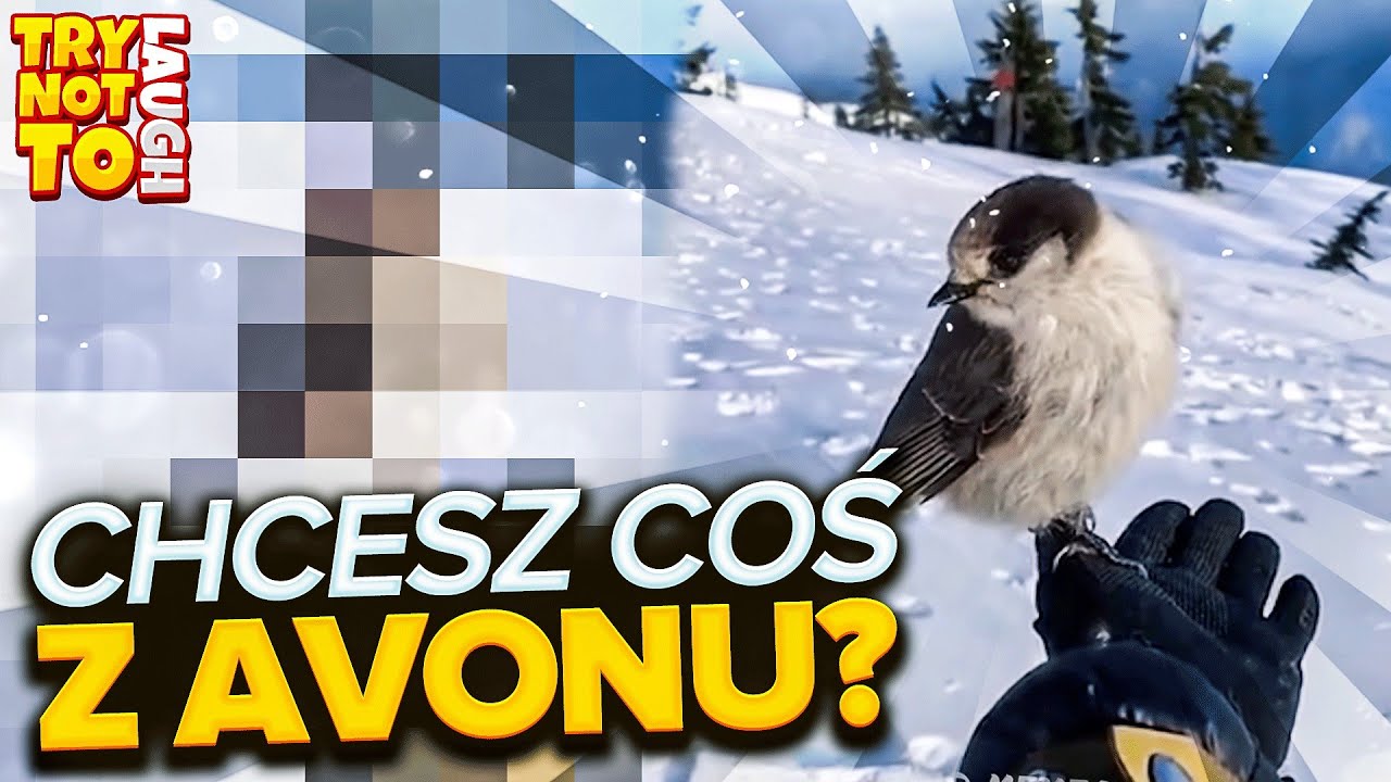 CHCESZ COŚ Z AVONU? - TRY NOT TO LAUGH