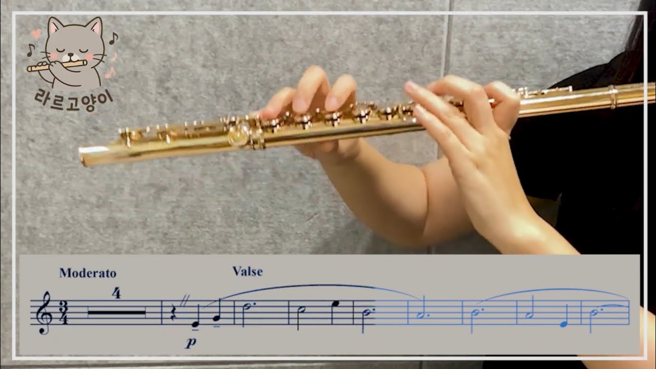 Erik Satie - Je Te Veux for Flute and Piano