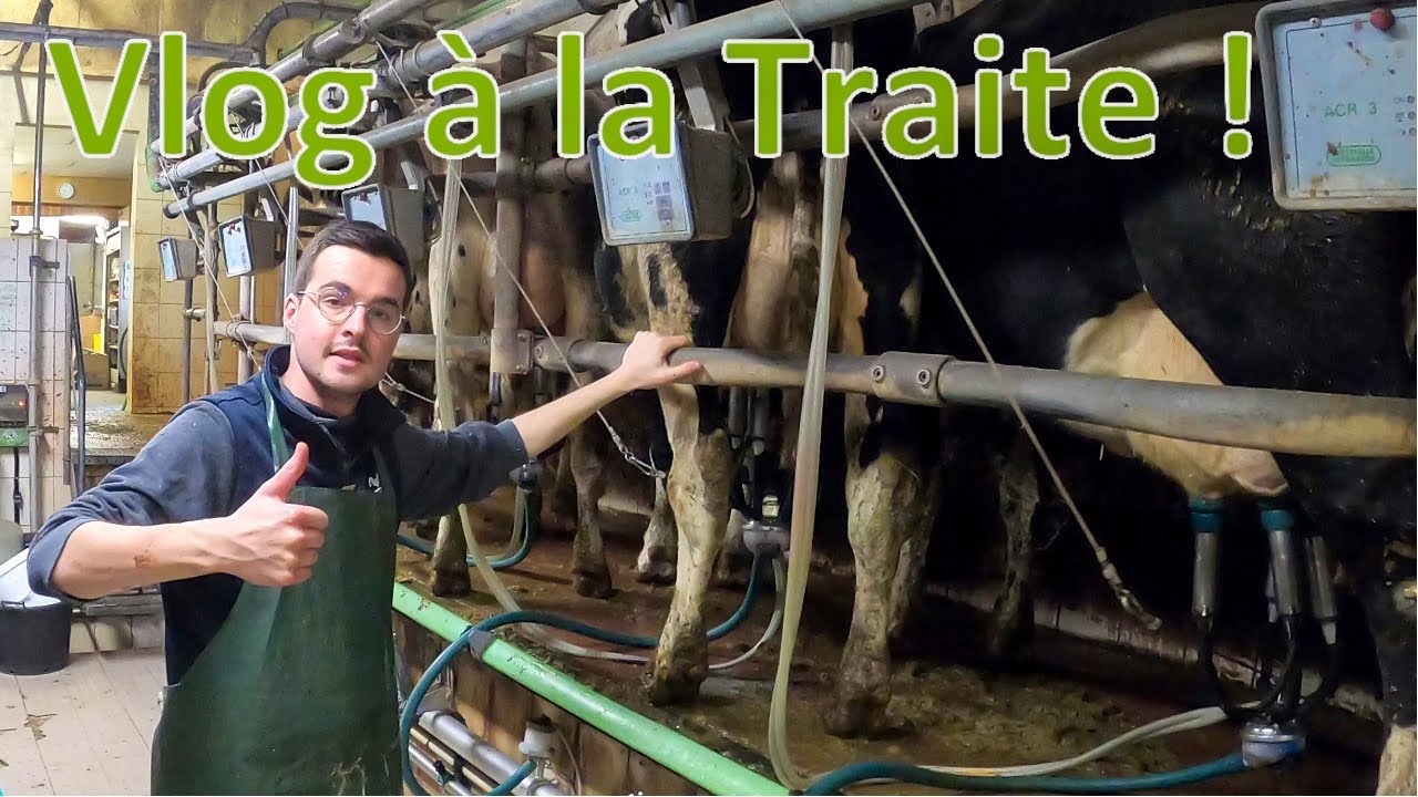 Vlog à la traite des vaches ! 🐮👌