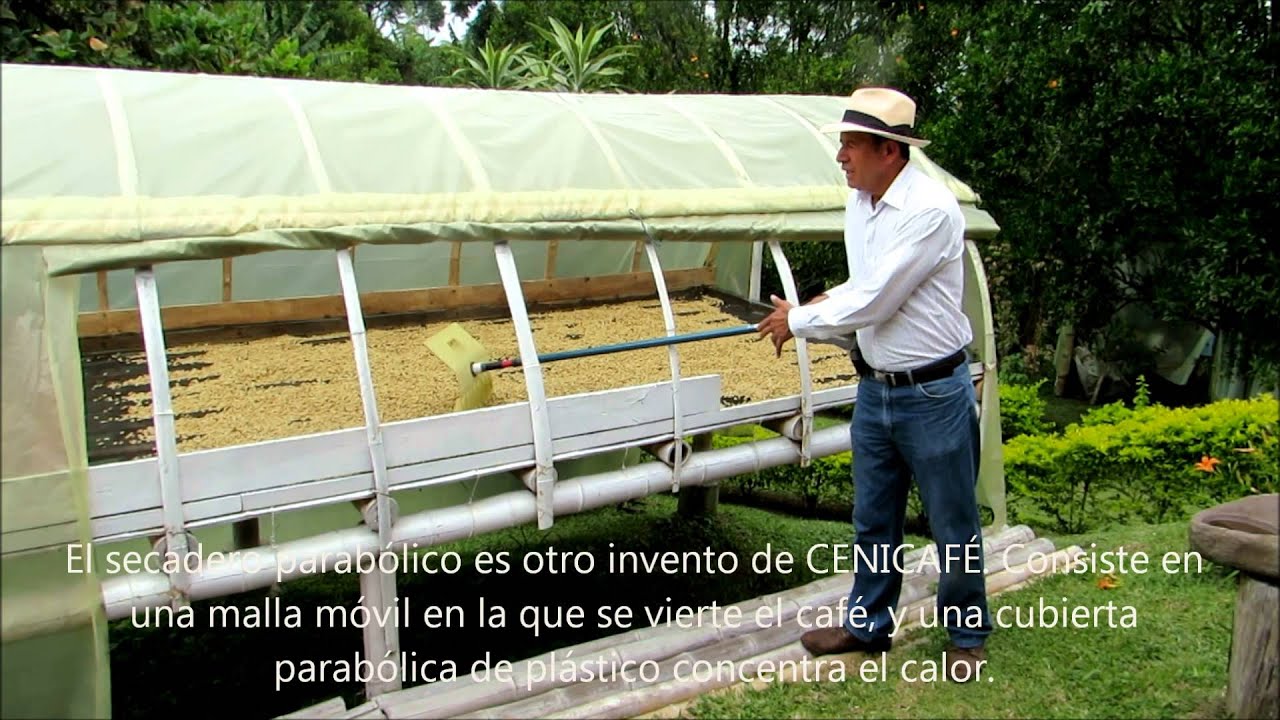 Beneficio y secado ecológico del café