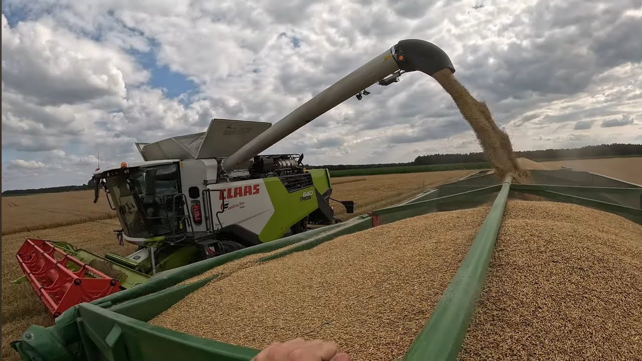Jęczmień ozimy 2024 🌾 Fendt 933 i 712 w transporcie ⚡