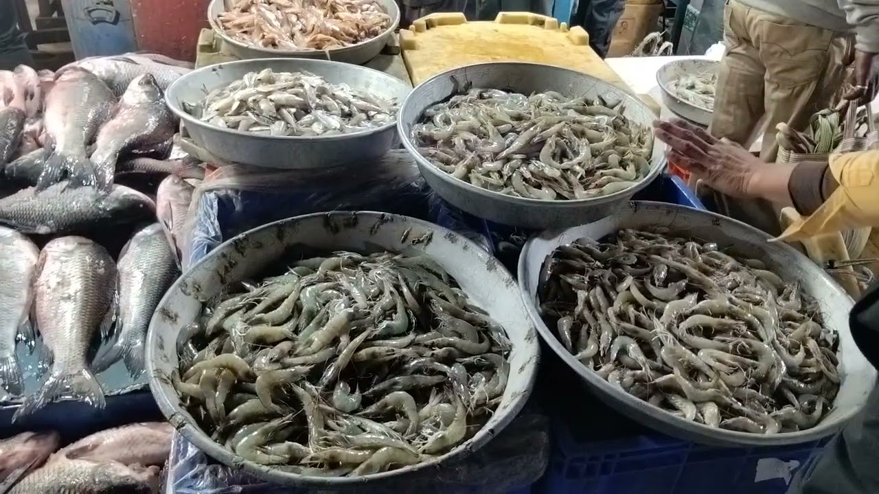 হালিশহর পাইকারি মাছ বাজারের ভিডিও। Fish market 