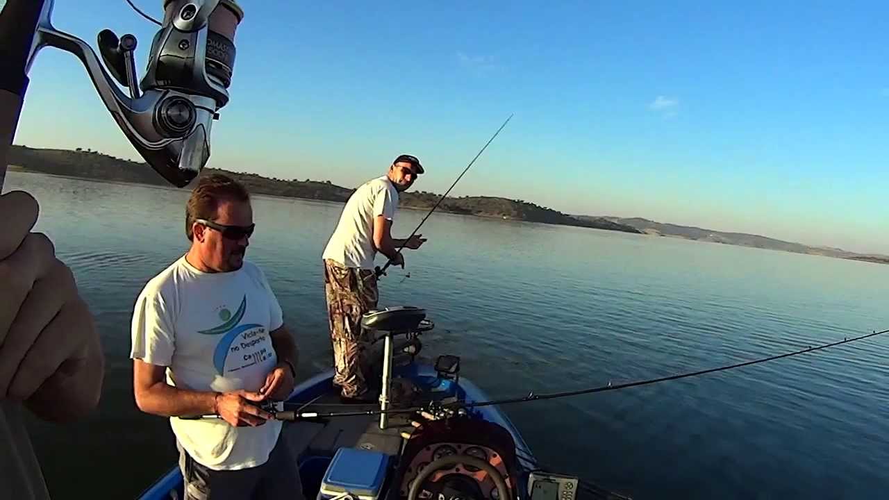 achigãs luciopercas alqueva pesca barco