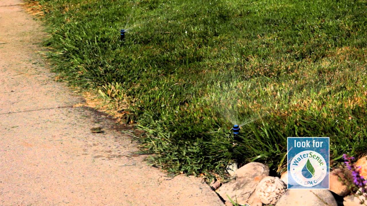 Monthly Tune Up for Your Sprinkler System