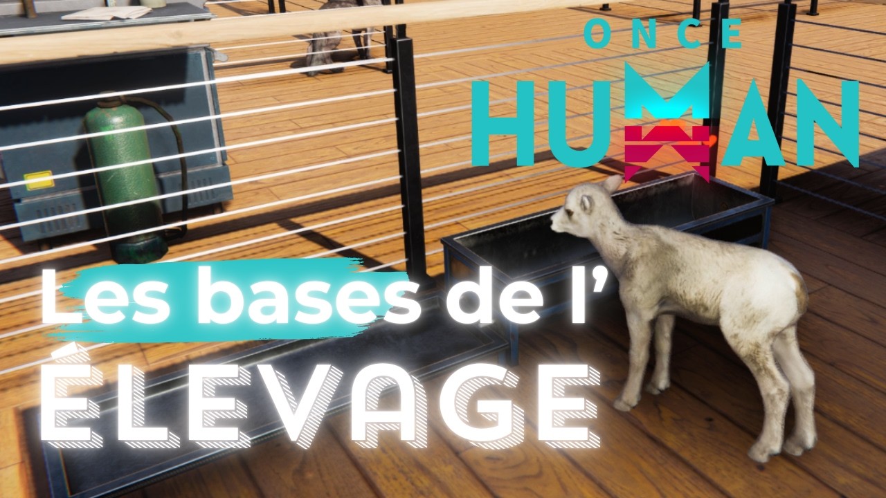 Les bases de l'&Eacute;LEVAGE dans Once Human