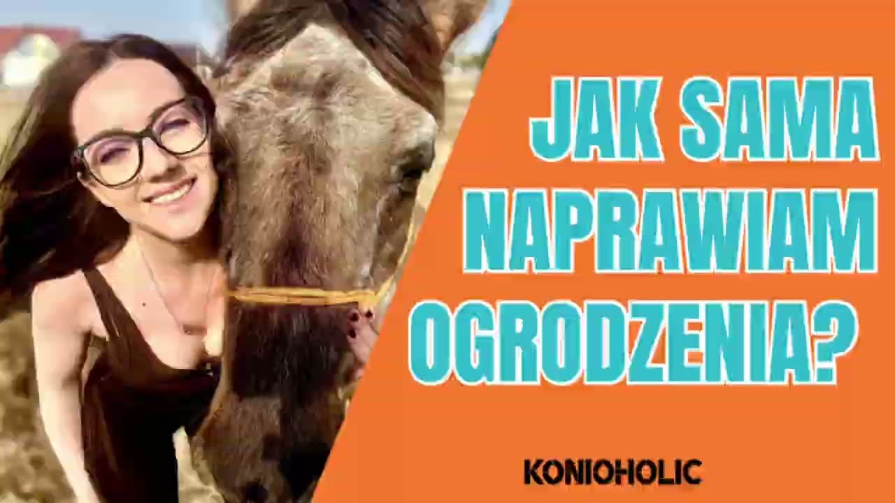 Moja praca to moja pasja | ratuję konie | konioholic