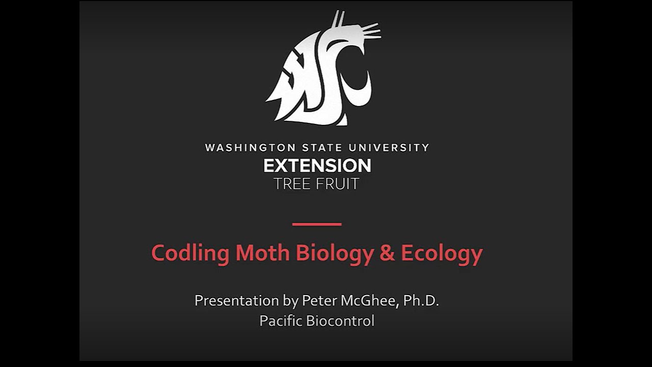Codling Moth Biology and Ecology