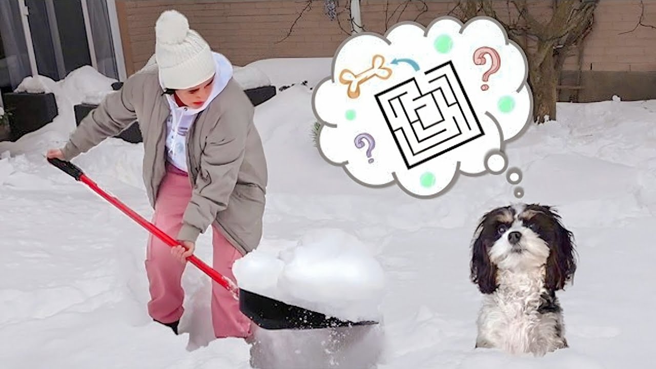 CONSTRUÍ UM LABIRINTO NA NEVE PARA A MINHA CACHORRINHA ❄️🐕☃️