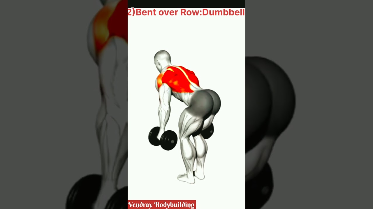 Top 5 Back Workout (Only Dumbbell)