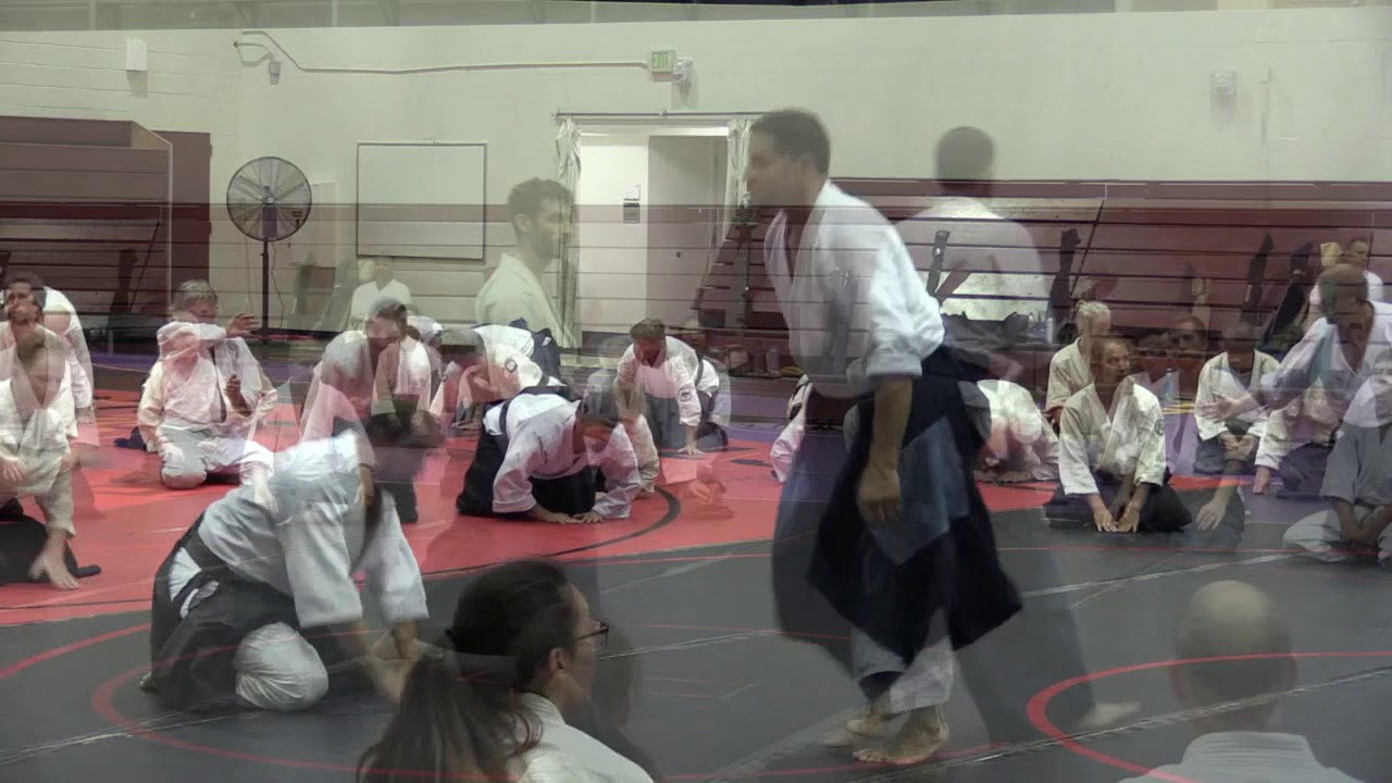 Birankai Aikido Summer Camp 2019 - F. Apodaca, Shihan, Class 1