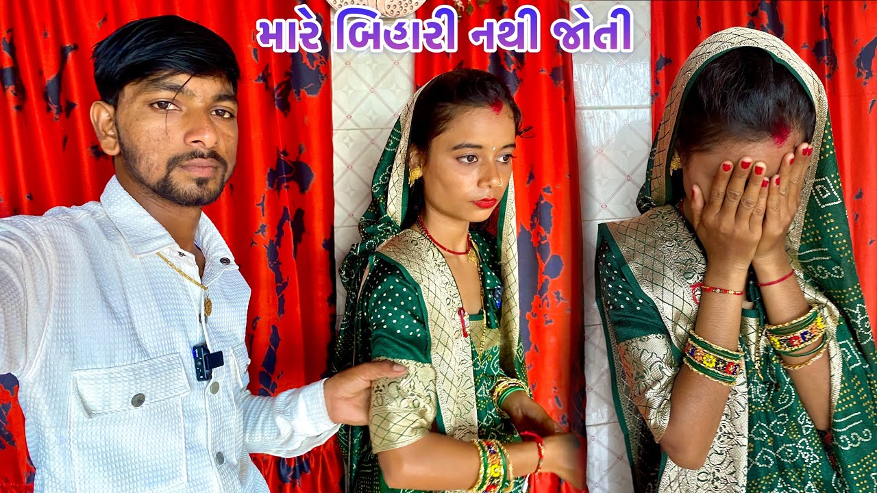 Mare Bihari Nathi Joti // મારે બિહારી નથી જોતી // Vikram Priti Vlogs