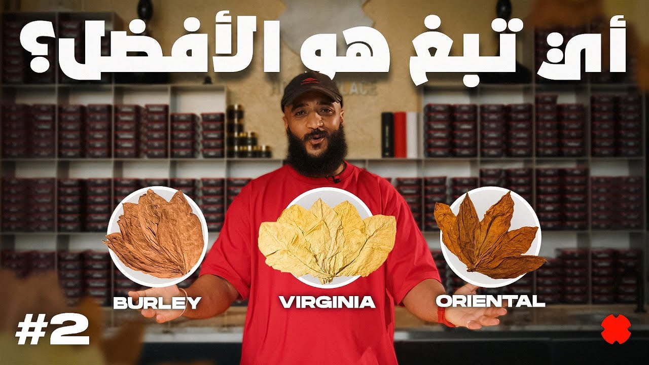 Hookah 101: Understanding Mu’assel |  شيشة 101: دليلك لفهم المعسل