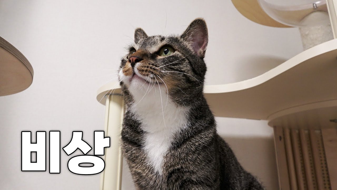 하마터면 굶길 뻔 했습니다...