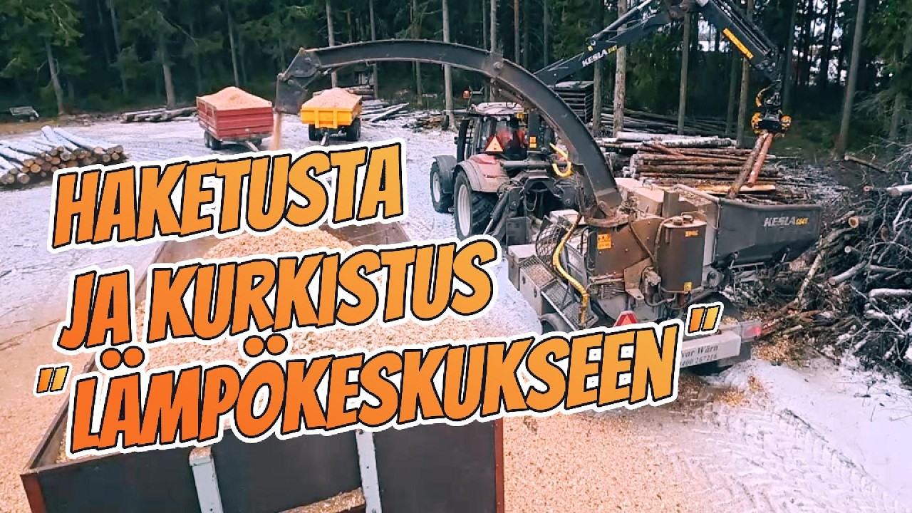 Haketta kärryt täyteen