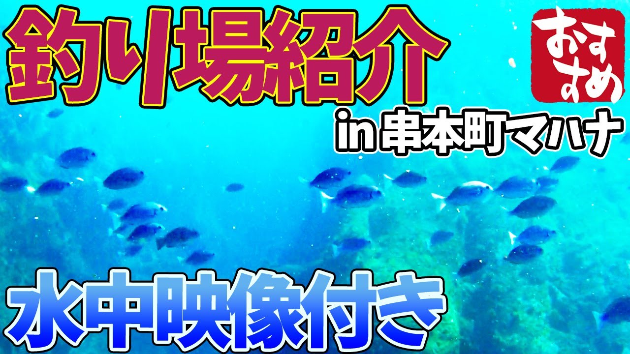【釣り場紹介】和歌山県 串本町【マハナ】おすすめ、グレ、アオリイカ石鯛、ブダイ、アイゴ等が釣れるポイント　水中映像有り
