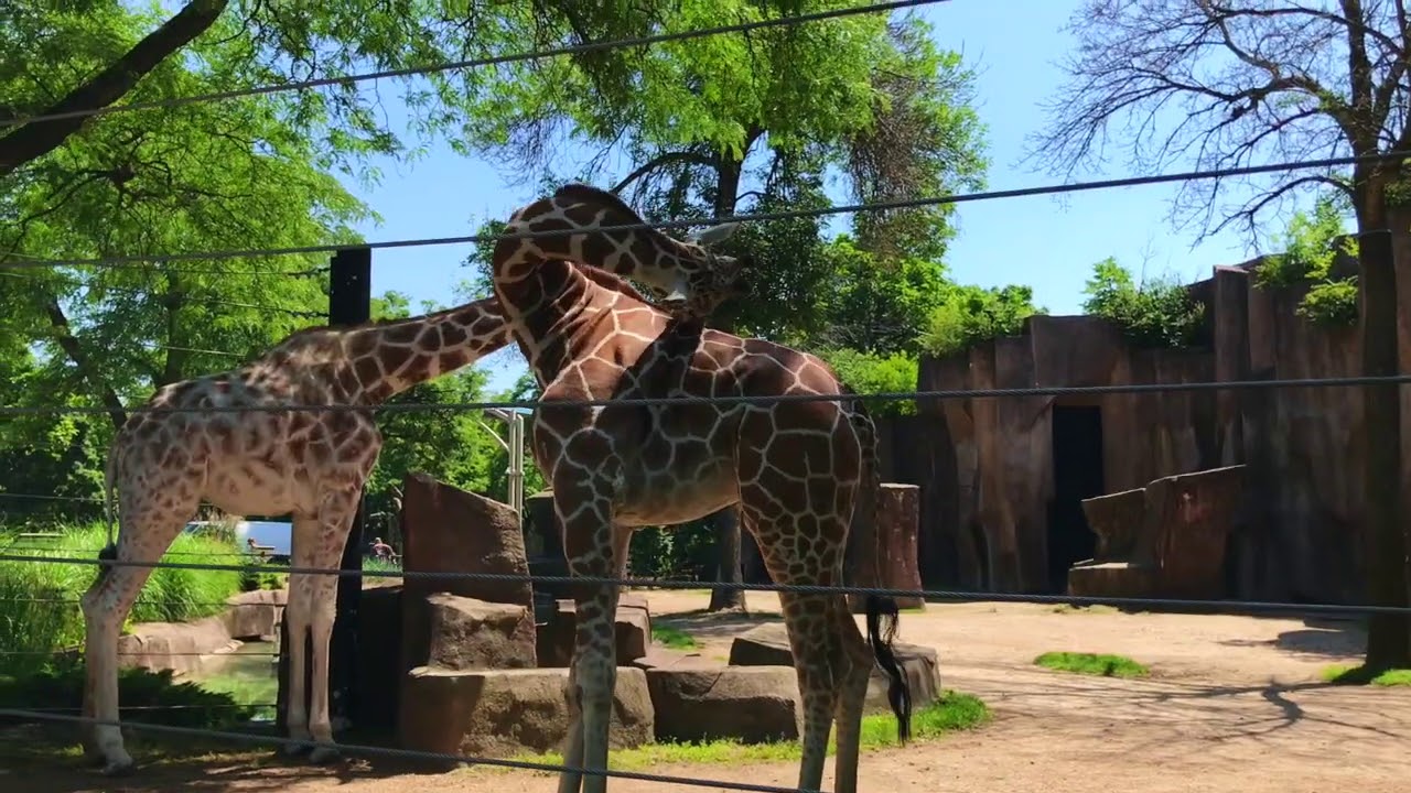 Milwaukee County Zoo