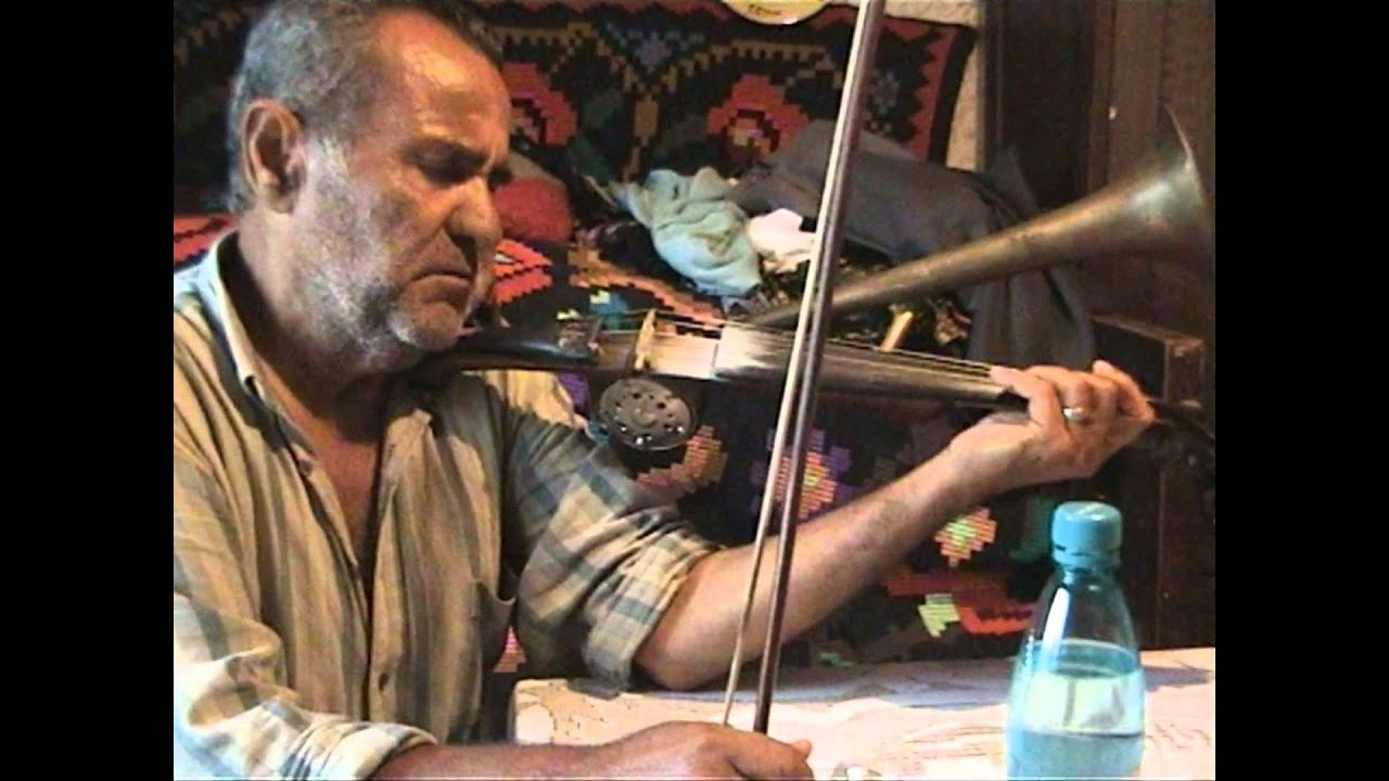 CLUJ, Instrumentisti bihoreni II, Ardelean Traian, Bratca, BH, 2005