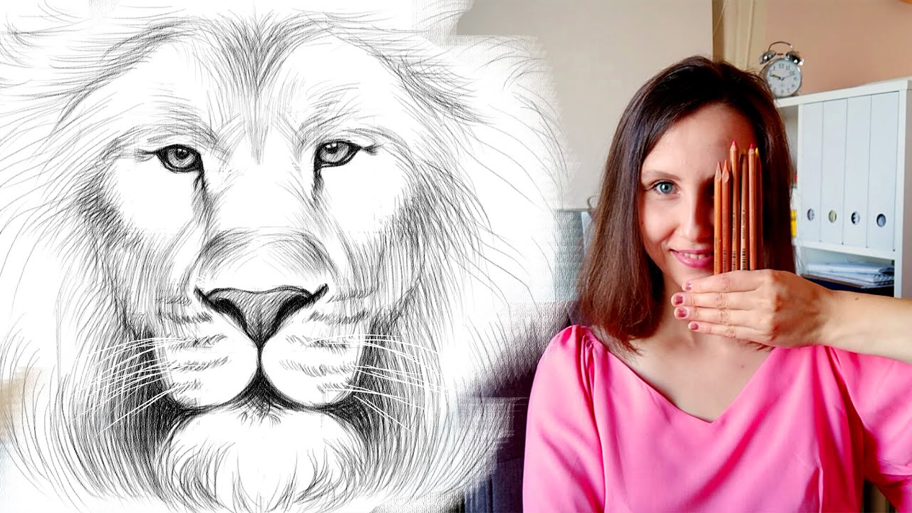 Как нарисовать льва карандашом. Поэтапный туториал