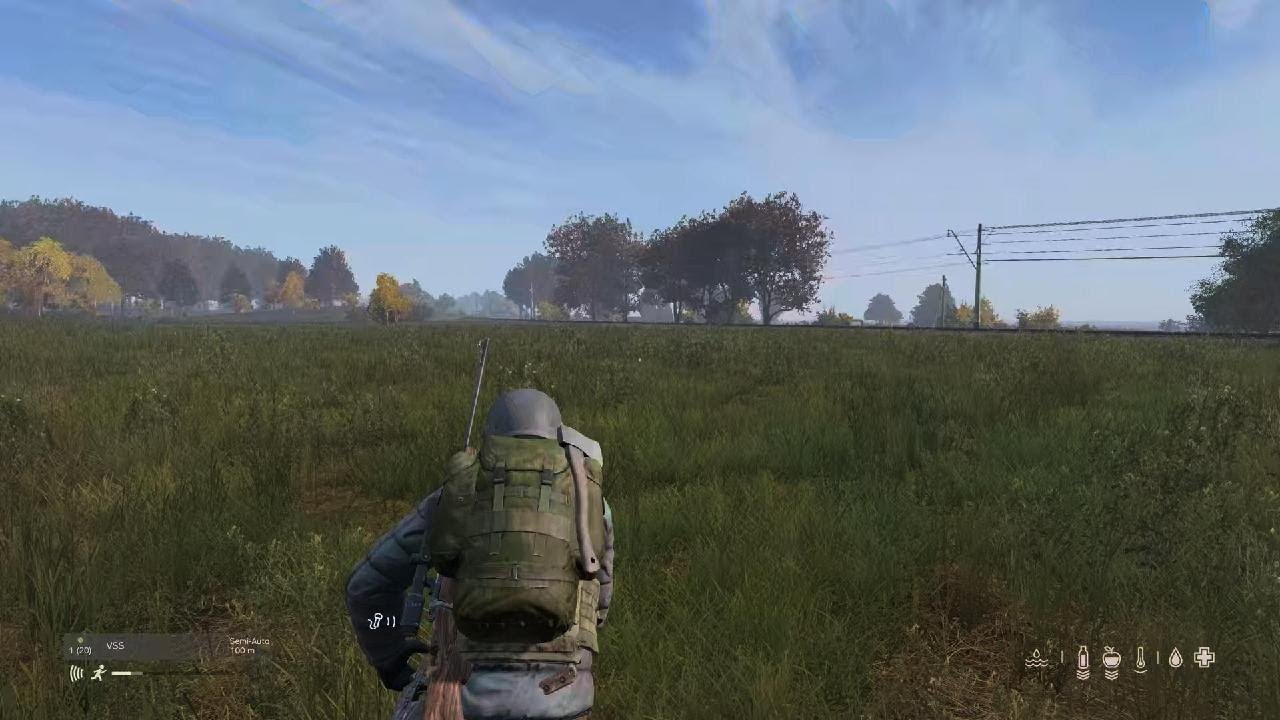 DayZ_20260214190300