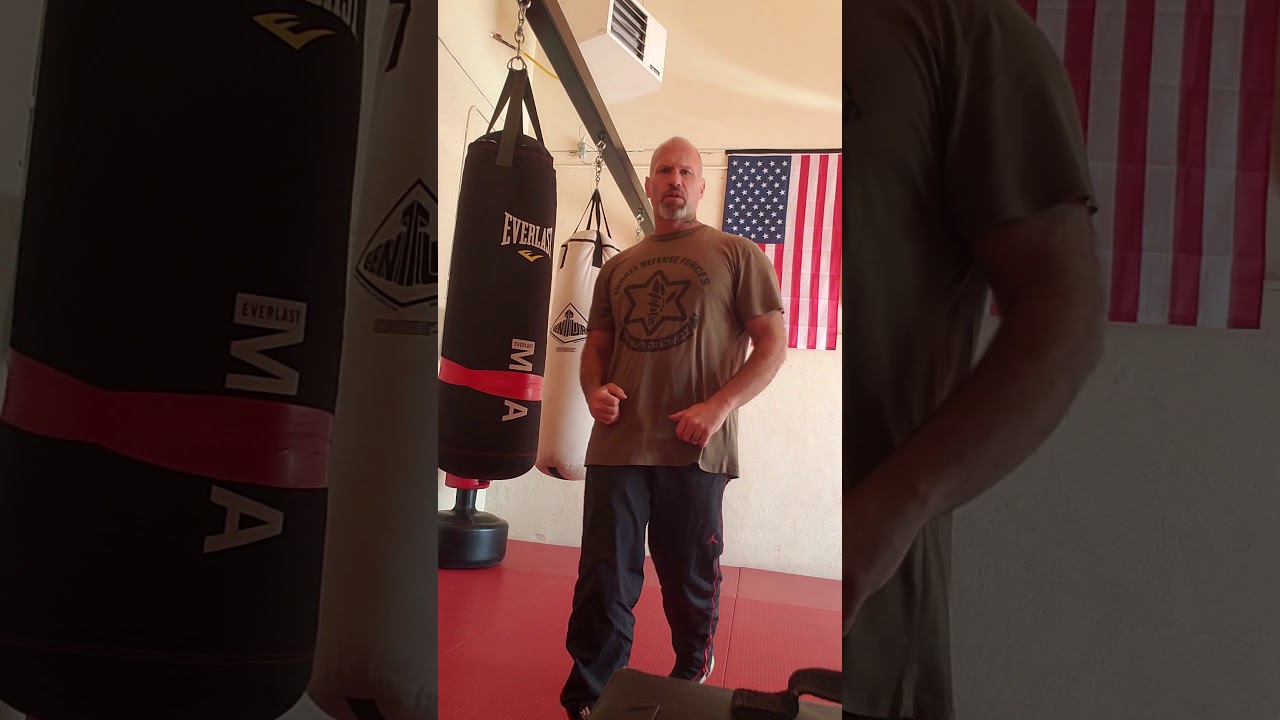 Krav Maga Front Kick To The Groin