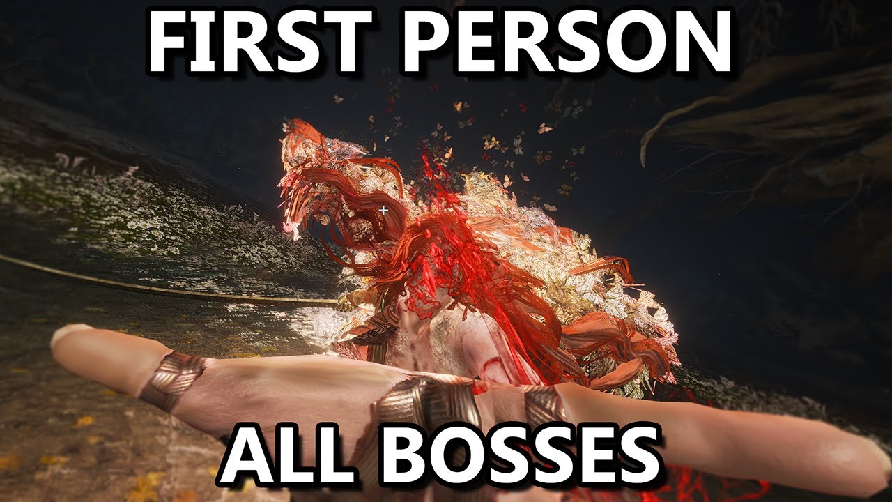 FIRST PERSON ALL BOSS RUN!
